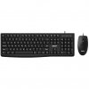 Acer OAK040