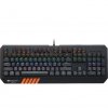 Canyon GK-6, Eng
