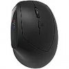 Canyon mouse MW-25 Ergonomic LED AA Dual mode Wireless Black