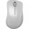 Canyon MW-11, White/Gray