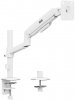 Ergo Office Monitor Mount, 17-32"