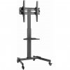 Gembird Height adjustable TV floor stand, 32-55"