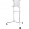 Newstar Mobile Monitor/TV Floor Stand, 37-70"