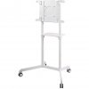 Newstar Mobile Monitor/TV Floor Stand, 37-70"