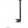 Newstar Monitor/TV ceiling mount, 10-30"