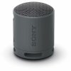 Sony SRS-XB100, Black