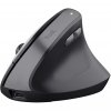 Trust TM-270 mouse Office Right-hand RF Wireless Optical 2400 DPI