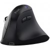 Trust Vyran Universal Right-hand RF Wireless + Bluetooth Optical