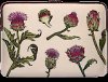 Tucano SLEEVE SCHIZZO MacBook Air 15/ Laptop 13/ Laptop 14, ARTICHOKE WHITE
