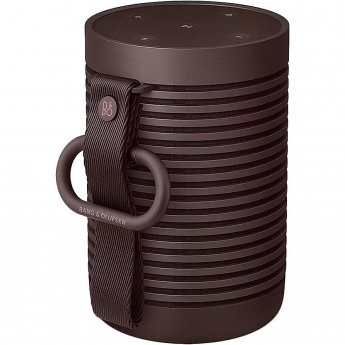 Bang & Olufsen Beosound Explore, Chestnut