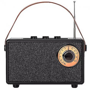 Camry CR1902, FM, black