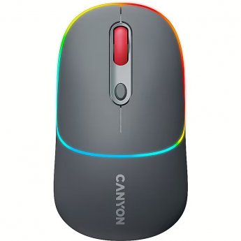 Canyon MW-22, Gray