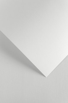 Dizaina papīrs A4 CANVAS white 20 pcs./box 240 g/m2