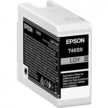 Epson ink light gray T46S9 (C13T46S900) (Ultrachrome PRO 10)