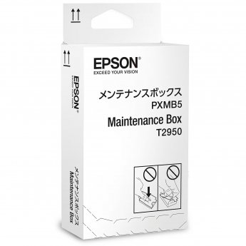 Epson WorkForce Maintenance Box WF-100W