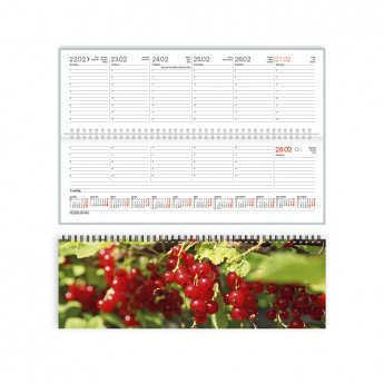 Galda plānotājs 2026.gadam EKO CREDO Vasara, no apdrukāta kartona, 300x100 mm