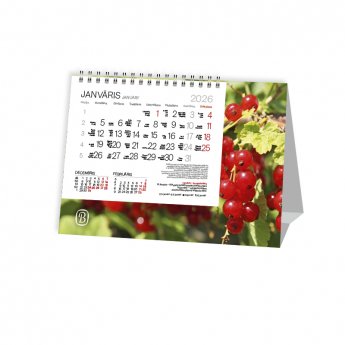 Galda plānotājs 2026.gadam EKO TENT Vasara, piramīdveidīgs ar spirāli