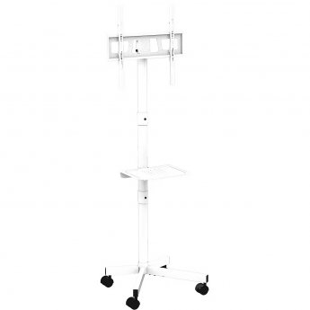 Gembird TV floor stand, 32-55"