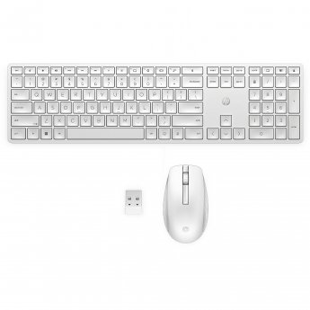 Hewlett Packard 655 Wireless Mouse Keyboard Combo