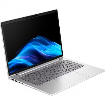 Hewlett Packard Probook 4 G1a (C07P5ES) (silver, AMD Ryzen 5 230, AMD Radeon 760M, 24 GB DDR5, 1 TB (1 TB SSD), without operating system) - German - DE Layout