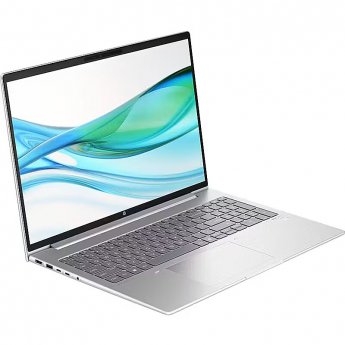 Hewlett Packard ProBook 460 G11 (D05D2ES) (silver, Intel® Core? Ultra 5 125U, Intel® Graphics, 16 GB DDR5, 512 GB (512 GB SSD), Windows 11 Pro) - German - DE Layout
