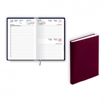 Kabatas plānotājs 2026.gadam EKO Mono, diena, 98x150 mm, balacron, bordo