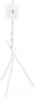 Maclean TV Floor Stand, 27–55"