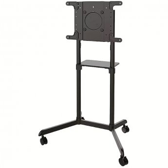 Newstar Mobile Monitor/TV Floor Stand, 37-70"