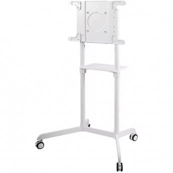 Newstar Mobile Monitor/TV Floor Stand, 37-70"