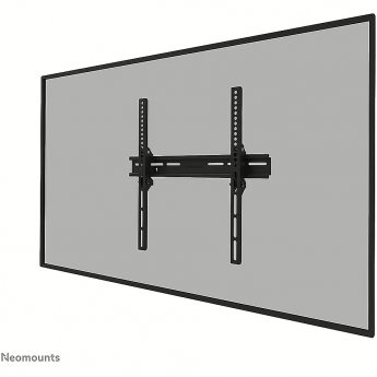 Newstar Wall mount (fixed), 32-65"