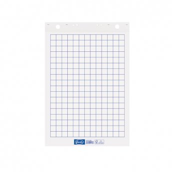 Papīra bloks FOROFIS 600x850 mm 50lp,  rūtiņu