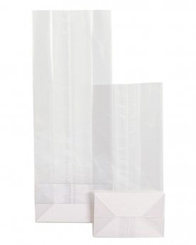 Plastmasas maisiņi ar kartona pamatni, 55x30x160mm, 50 gab