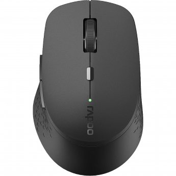 Rapoo M300