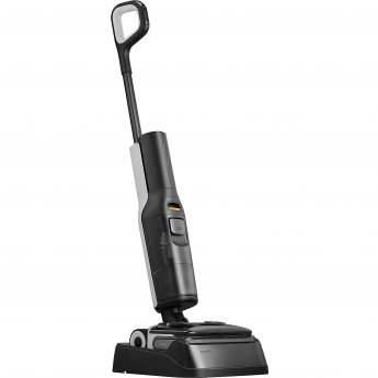 Roborock F25 Ace 21.6V, Black