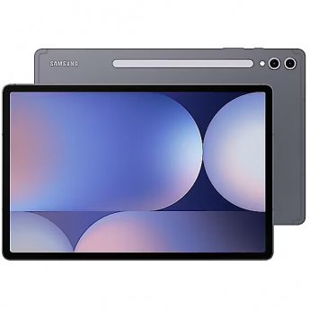 Samsung Galaxy Tab S10+ 5G, 12GB/256GB, Moonstone Gray