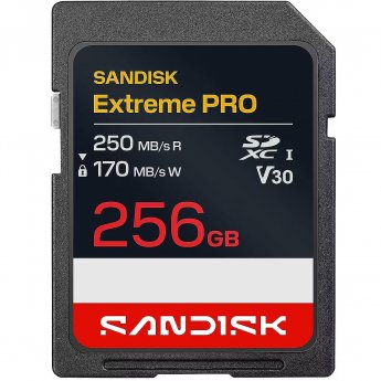 SanDisk MEMORY SDXC 256GB UHS-1/SDSDXXJ-256G-GSCIN