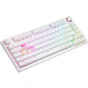 Savio PHENIX WHITE GAT YELLOW, US