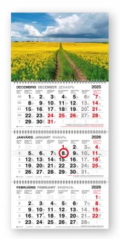 Sienas kalendārs 2026 gadam Standart Black, četrdaļīgs ar metāla spirāli, Lauku ainava