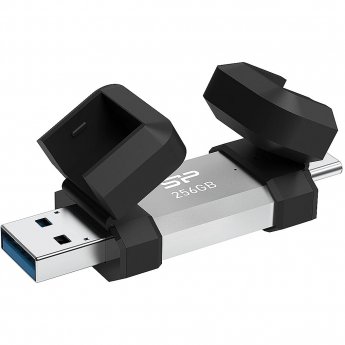 Silicon Power C51, 256GB, Silver